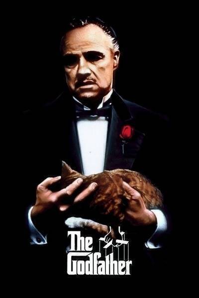 The Godfather Hindi Dubbed Movie Poster (1972)