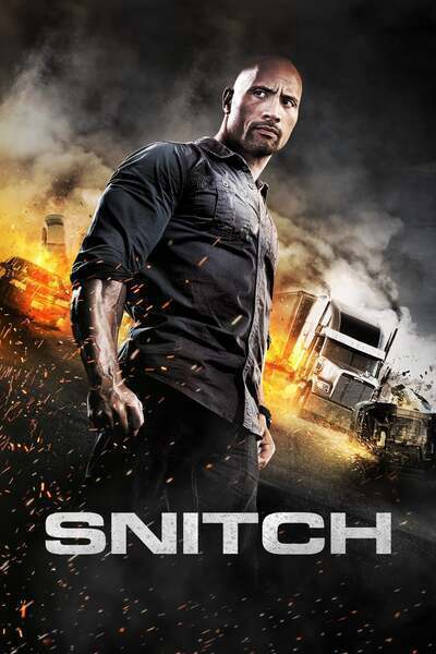 Snitch Hindi Dubbed Movie Poster (2013)