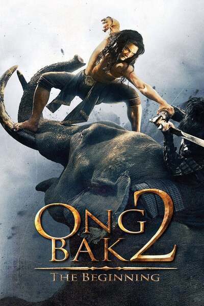 Ong Bak 2 Hindi Dubbed Movie Poster (2008)