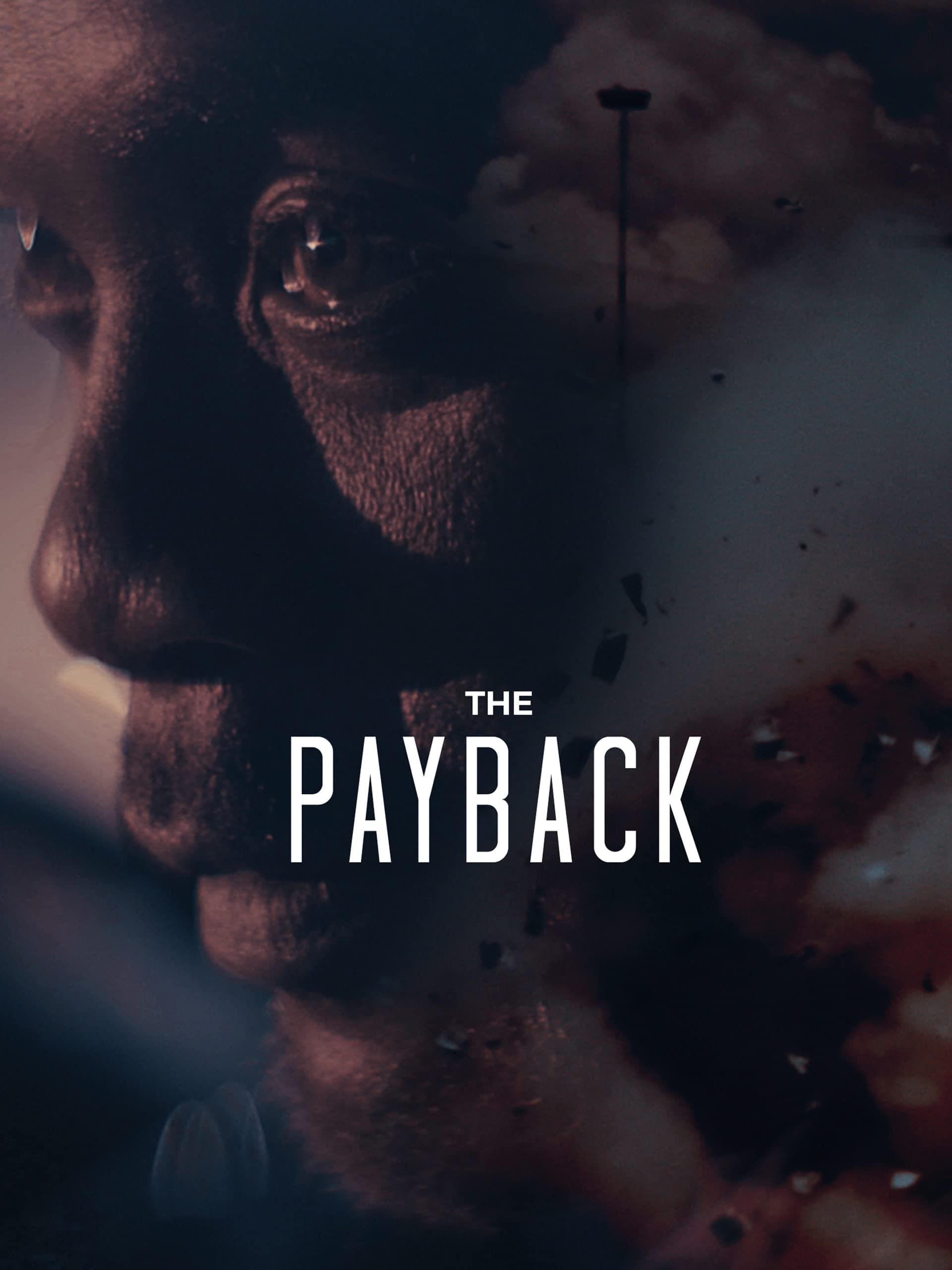 The Payback Hindi Dubbed Movie Poster (2022)