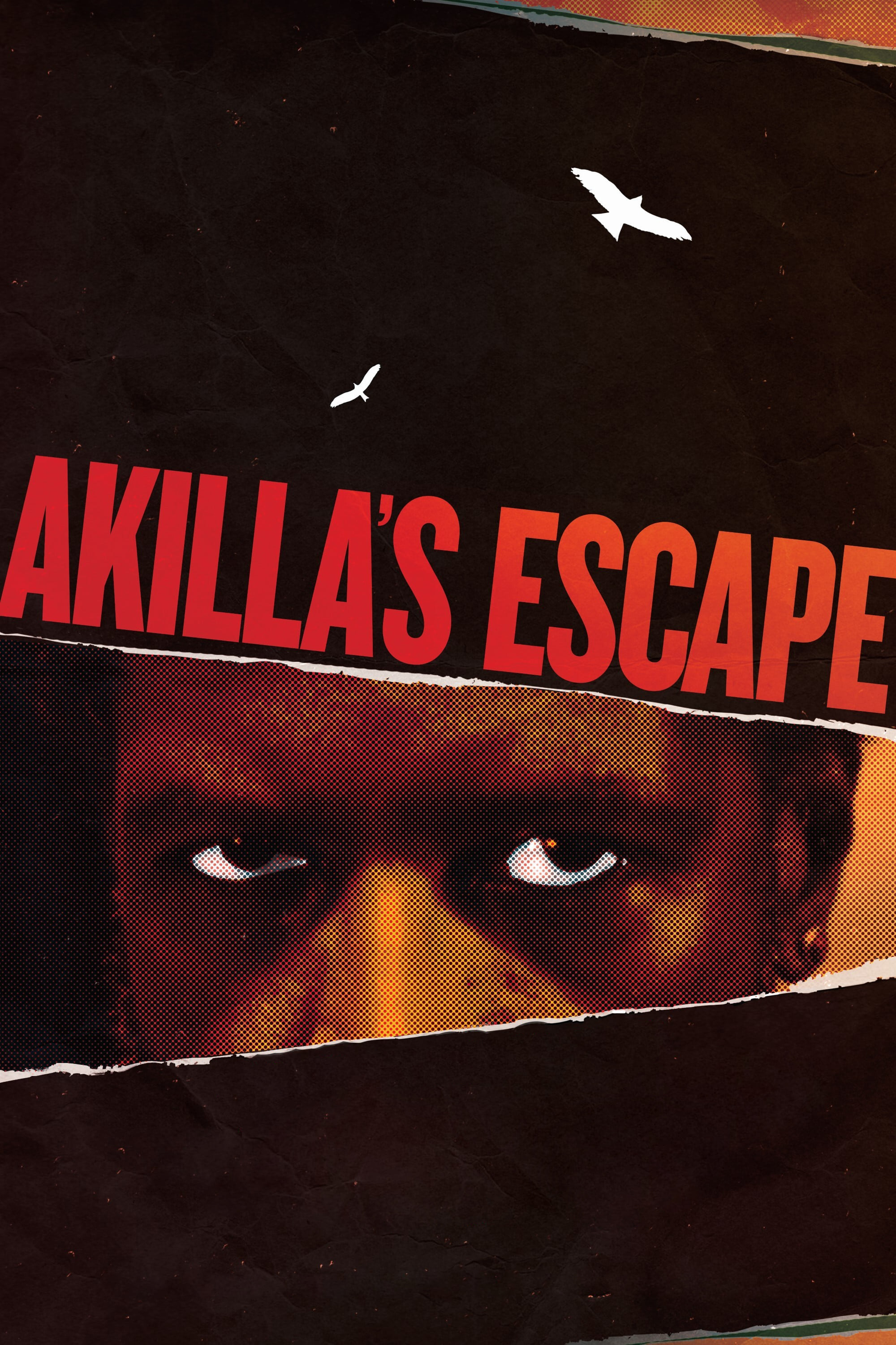 Akilla's Escape Hindi Dubbed Movie Poster (2021)
