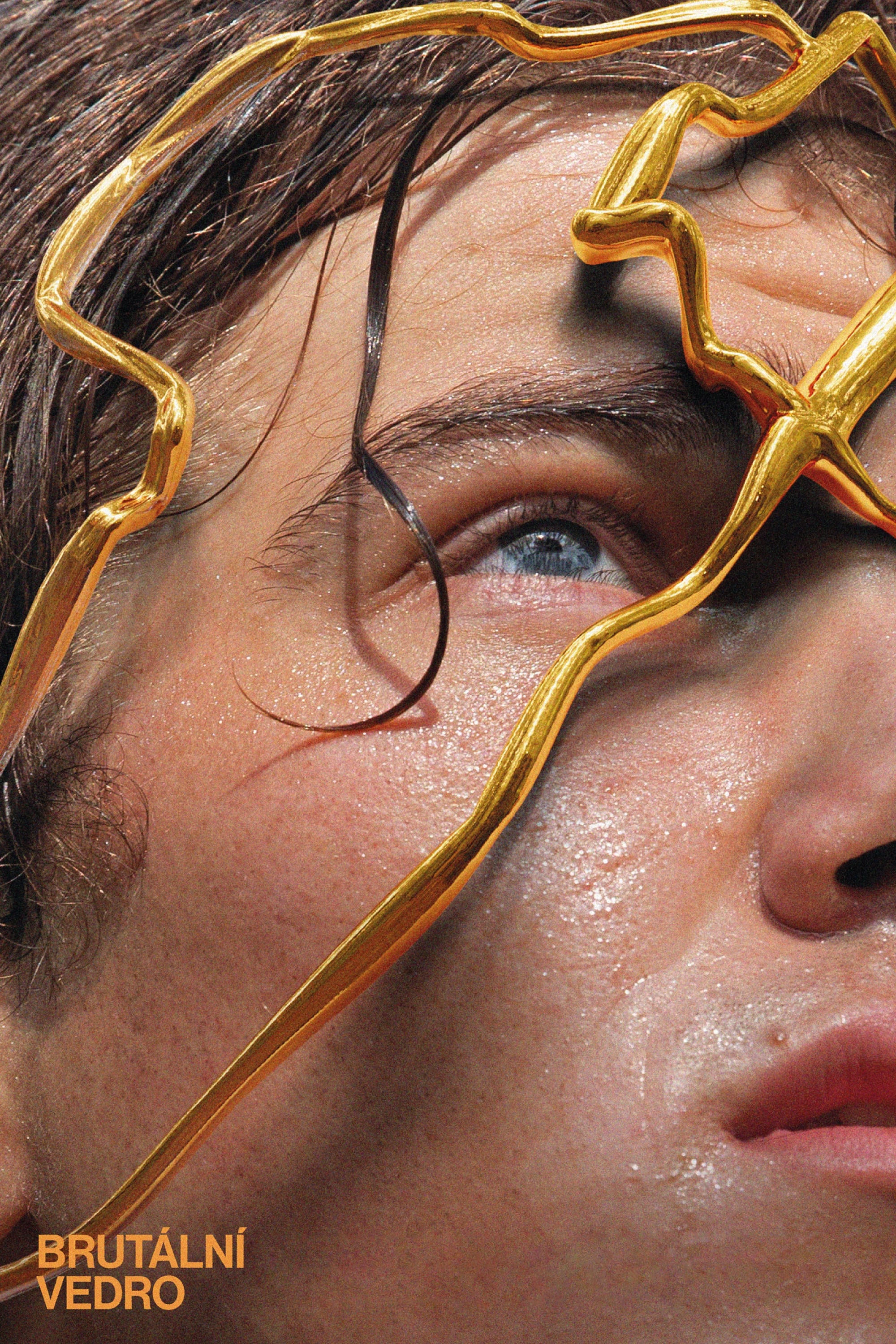 Brutal Heat Hindi Dubbed Movie Poster (2023)