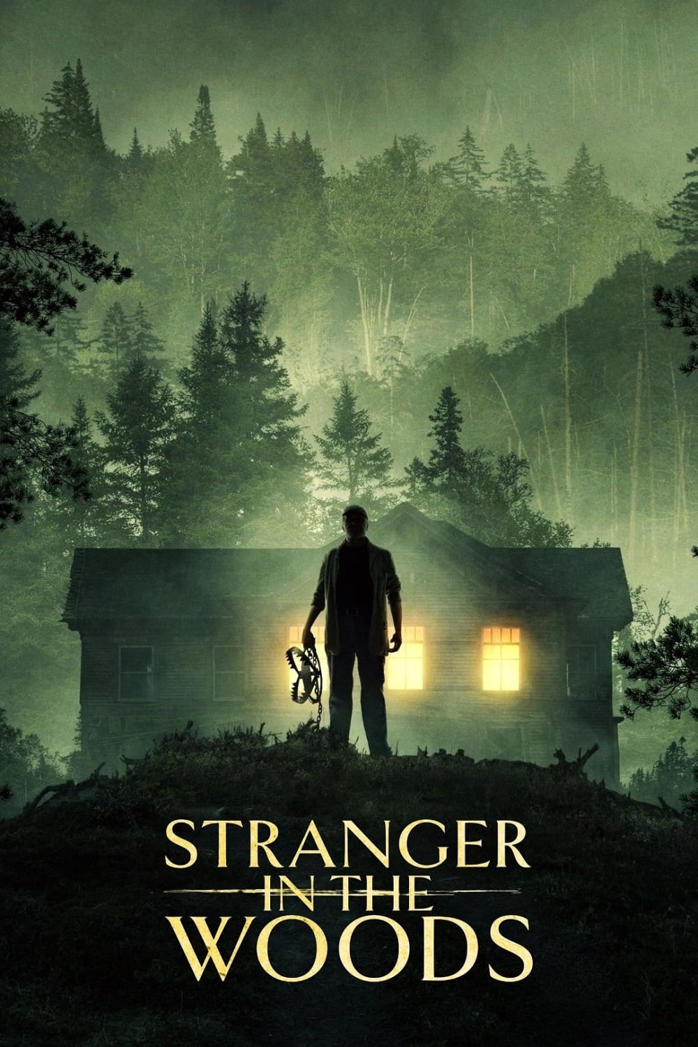 Stranger in the Woods Hindi Dubbed Movie Poster (2024)