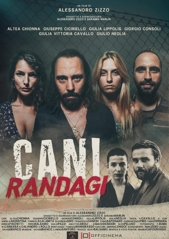 Cani randagi Hindi Dubbed Movie Poster (2024)
