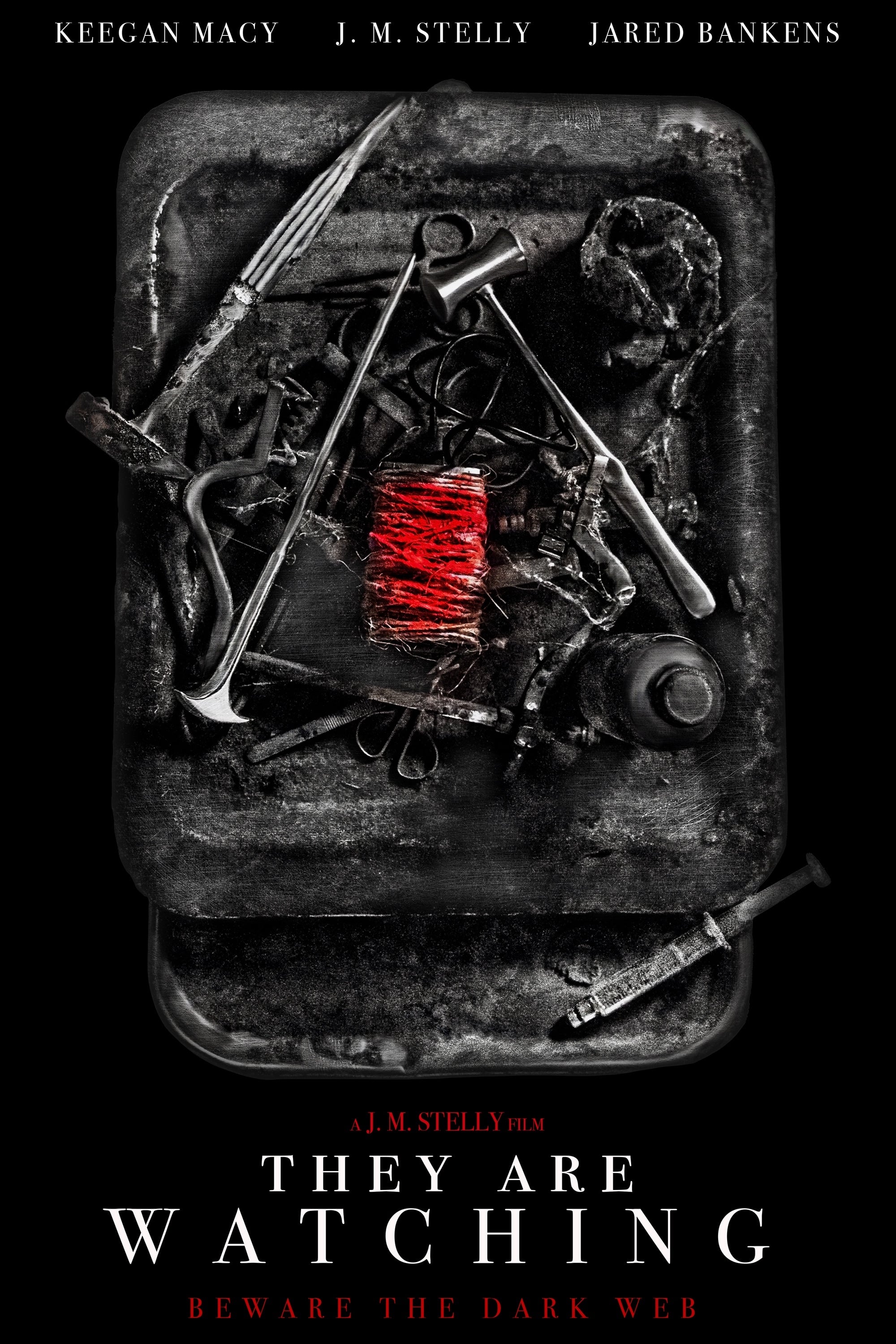 They Are Watching Hindi Dubbed Movie Poster (2024)