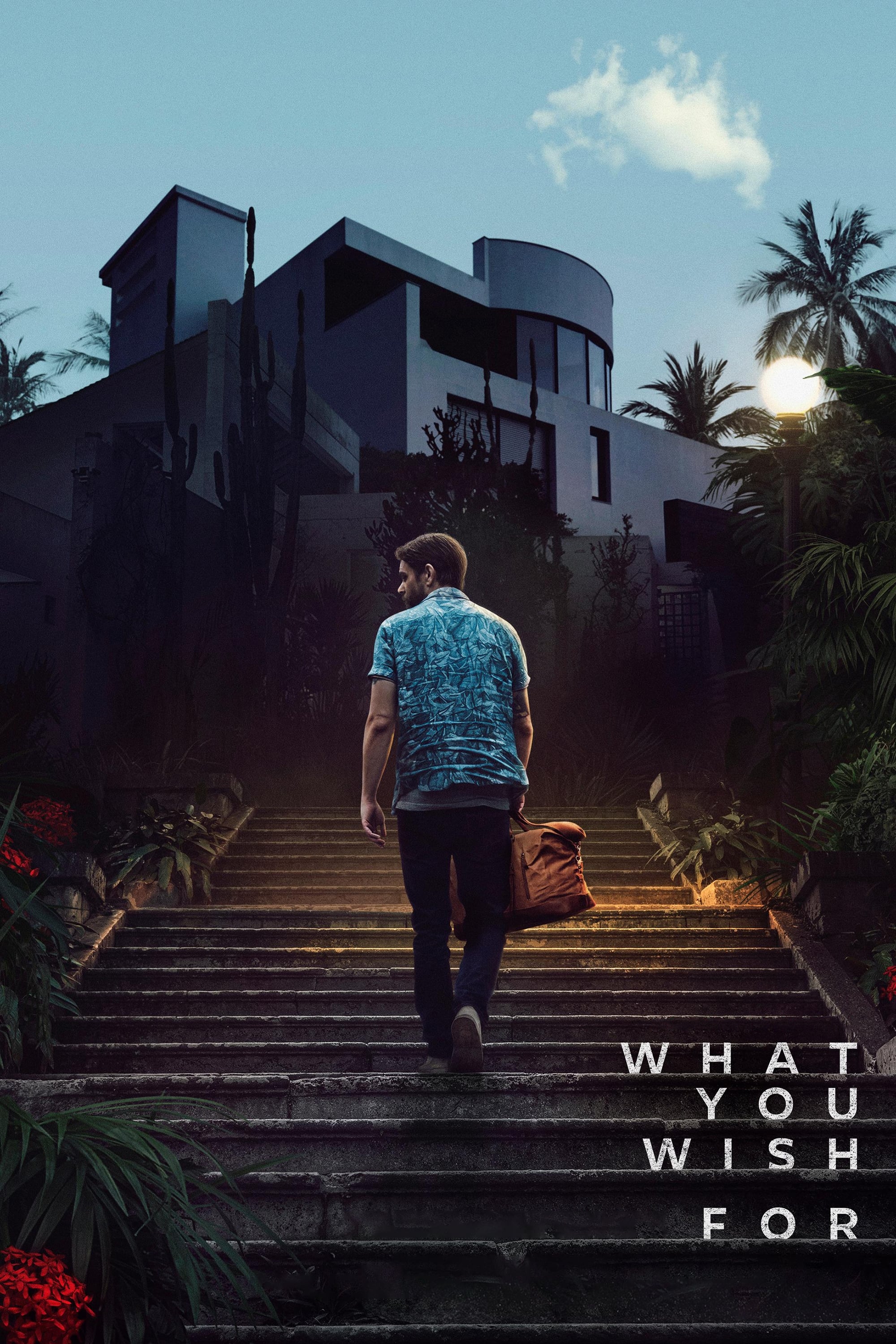 What You Wish For Hindi Dubbed Movie Poster (2023)