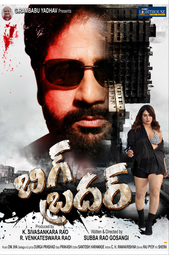 Big Brother Hindi Dubbed Movie Poster (2024)