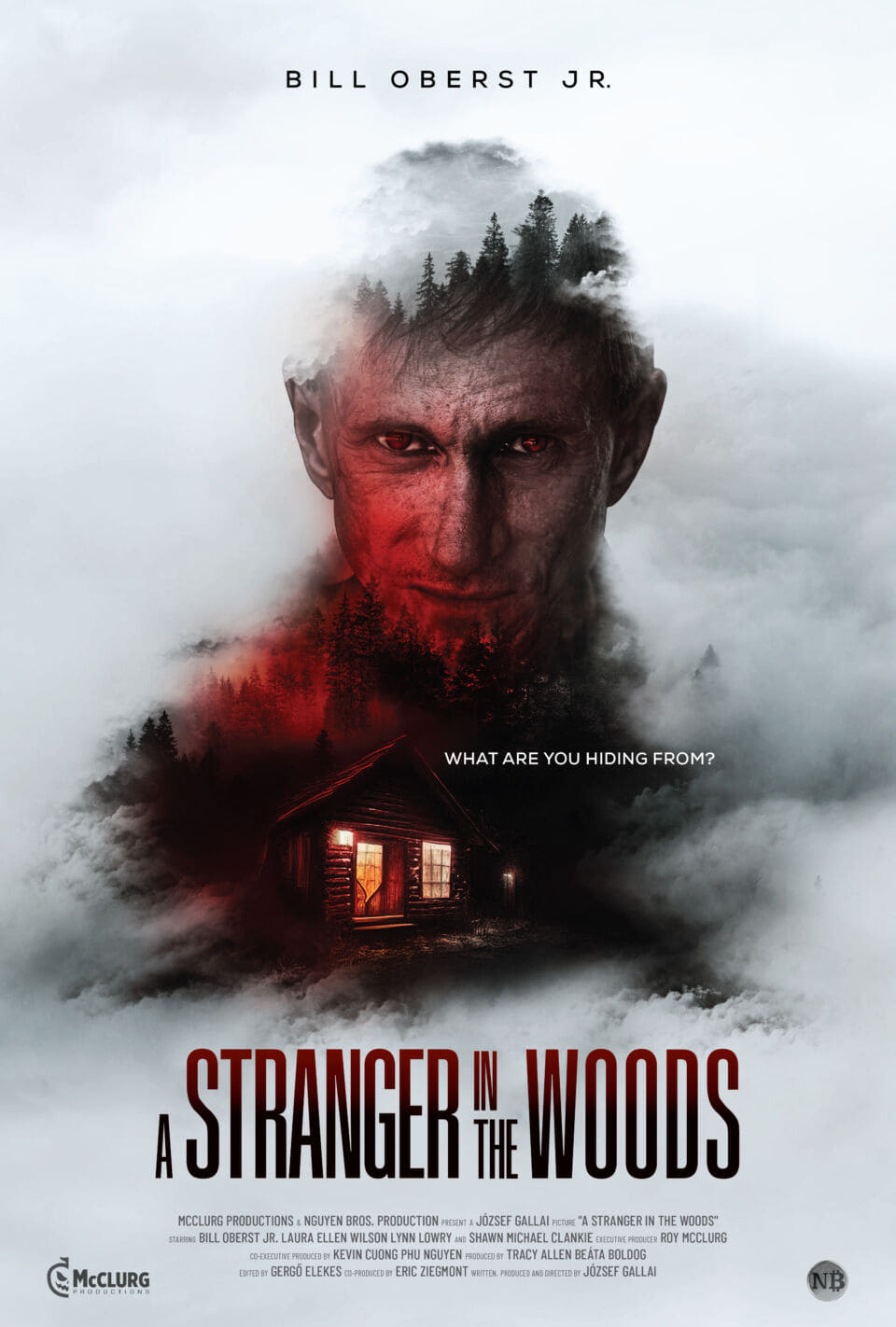 A Stranger in the Woods Hindi Dubbed Movie Poster (2024)