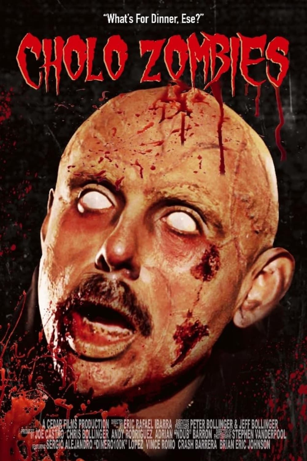 Cholo Zombies Hindi Dubbed Movie Poster (2024)