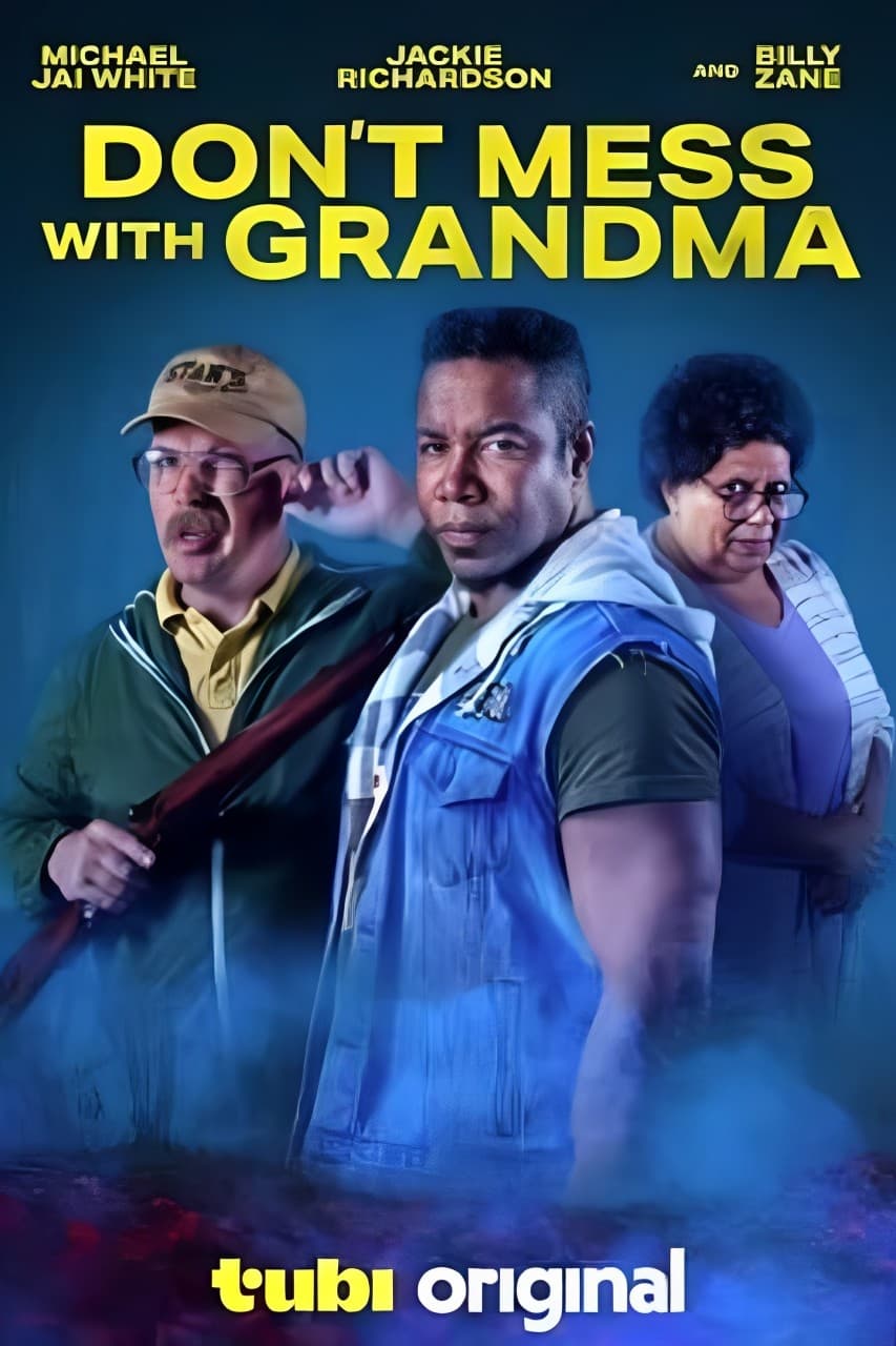 Don't Mess with Grandma Hindi Dubbed Movie Poster (2024)