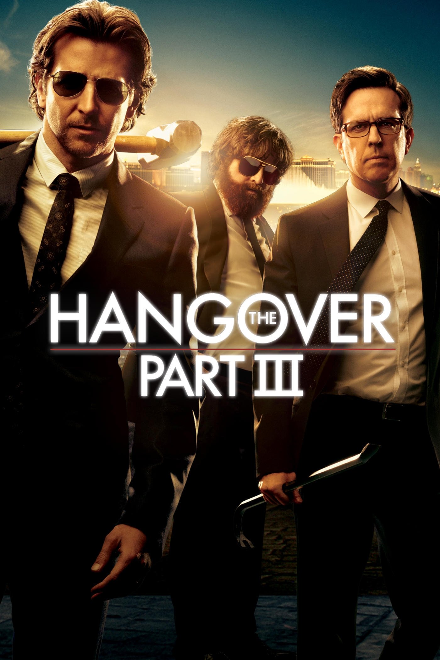 The Hangover Part III Hindi Dubbed Movie Poster (2013)