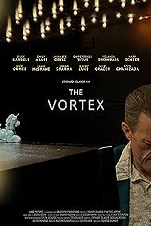The Vortex Hindi Dubbed Movie Poster (2025)