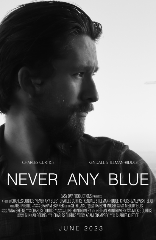 Never Any Blue Hindi Dubbed Movie Poster (2023)
