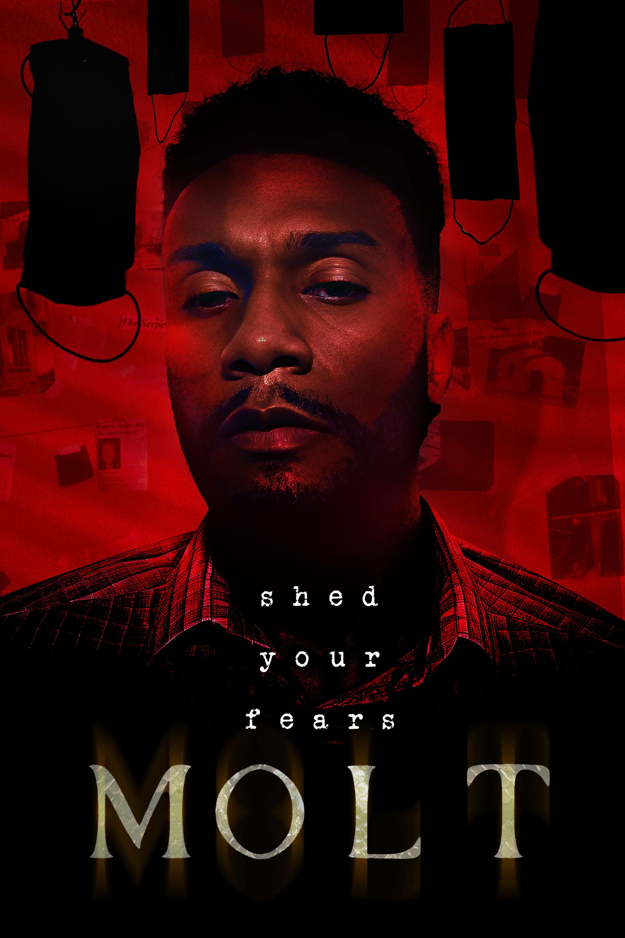 Molt Hindi Dubbed Movie Poster (2025)